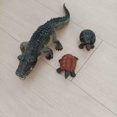 リアルなシュライヒワニとカメのフィギュアセットの画像