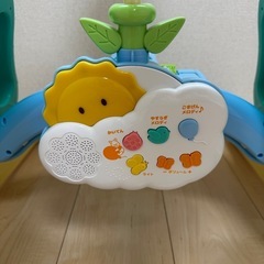 プーメリーの画像