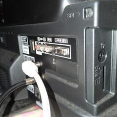 TVの画像