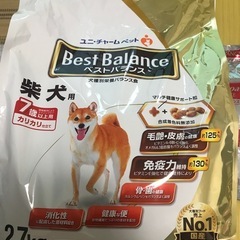 ドッグフードの画像