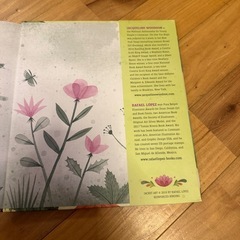 【洋書絵本】ラファエル・ロペス『The Day You Begin』の画像