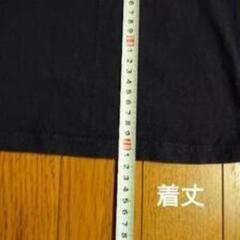 Champion 紫色 Tシャツ ＸLサイズの画像