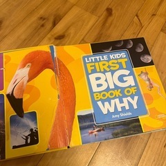 【洋書絵本】Little Kids First Big Book of Howの画像