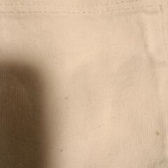 アメカジブランド　チャンピオン　championTシャツの画像
