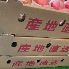 山梨県産桃　サービス品の画像