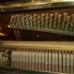 【急募】Atras ピアノの画像