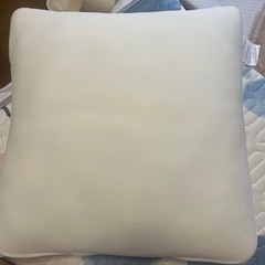 ニトリモチモチクッションの画像