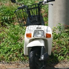 埼玉発174】HONDA ホンダ スカッシュ SQUASH Standard ワンボックスに積んで旅の友として大活躍　即戦力の画像