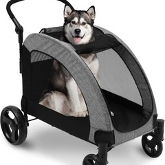 🐶大型バギー🐶の画像