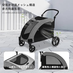 🐶大型バギー🐶の画像