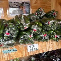 朝取り　野菜の画像