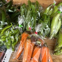 朝取り　野菜の画像
