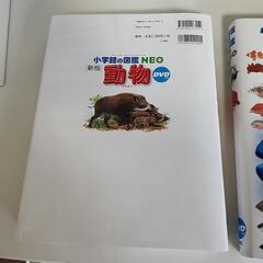 小学館の図鑑2冊セット　動物と魚の画像