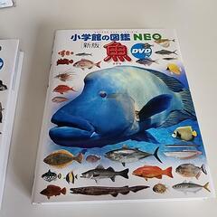 小学館の図鑑2冊セット　動物と魚の画像