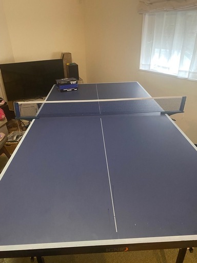 卓球台（中古）ネットとピンポン玉付き