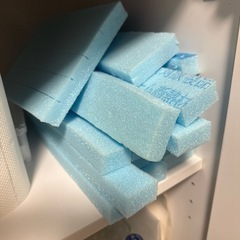 爬虫類　飼育セット　クレステッドゲッコー　などの画像