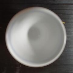 湯呑みの画像