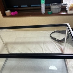 水槽の画像