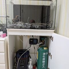 水槽セット　の画像