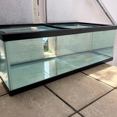 90cmランチュウ水槽セットの画像