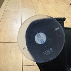 猫　ハンモックの画像