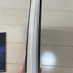 本 小説 ホラー 堕ちた儀式の記録 斉砂波人 美品の画像