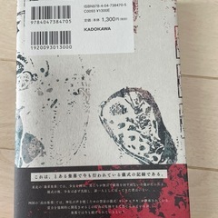 本 小説 ホラー 堕ちた儀式の記録 斉砂波人 美品の画像