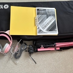 YAMAHA SC2xの画像