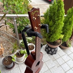 FAMOUS  FS-6 単板モデル　ケース付きの画像