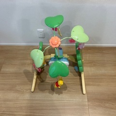 プーメリーの画像