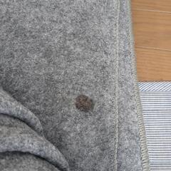 アイリスオーヤマホットカーペット3畳用の画像