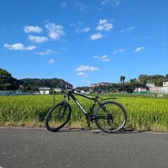 2つのオプションがあるマウンテンバイクですの画像