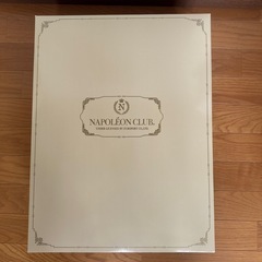 【未使用】薄手毛布　青　掛け布団の画像