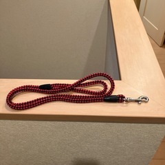 犬　リード　未使用(お話し中)の画像