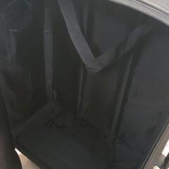0810-308 キャリーケースの画像