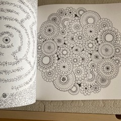 大人の塗り絵　色鉛筆付きの画像