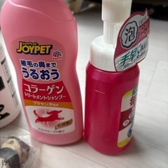 わんこセットの画像