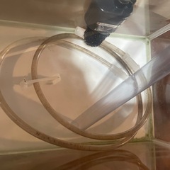 水槽　酸素供給器　プロホースセットの画像