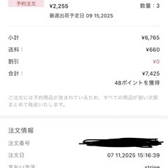 正規品　Labubu ラブブ LOYALTY ぬいぐるみペンダントの画像