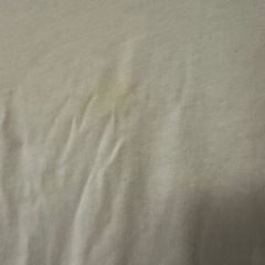 Tommy Tシャツの画像