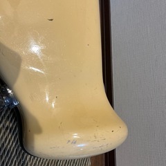 トランペット　ケース　シャイニーの画像