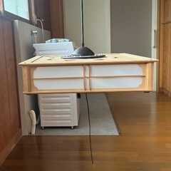 照明 50.5×50.5サイズ　無料　