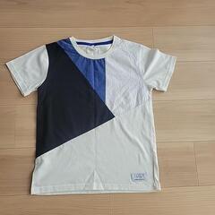 キッズTシャツの画像