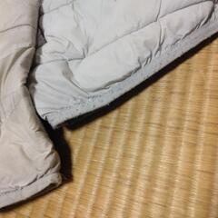 ★作業着Lサイズと手袋の画像