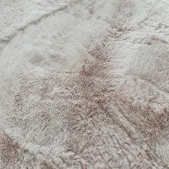 カーペットの画像