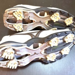 MIZUNO ゴルフシューズ24.5の画像