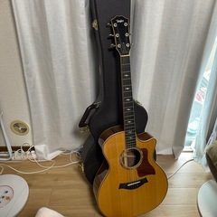 テイラー814ceの画像