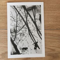 ハガキ、シールなどの画像