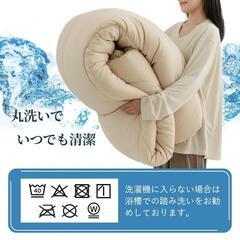 新品 羽毛より暖かい 掛け布団 シングル シンサレート 抗菌防臭 防ダニ 洗濯可能の画像