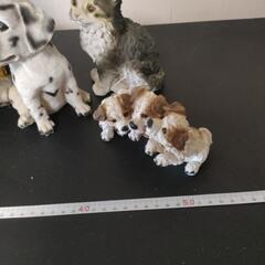 動物のお人形の画像